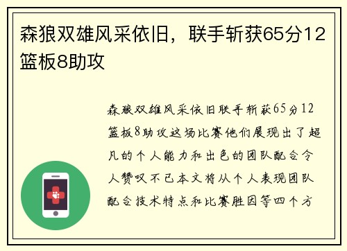 森狼双雄风采依旧，联手斩获65分12篮板8助攻